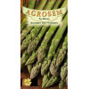 Sparanghel seminte - Asparagus officinalis Mary Washington