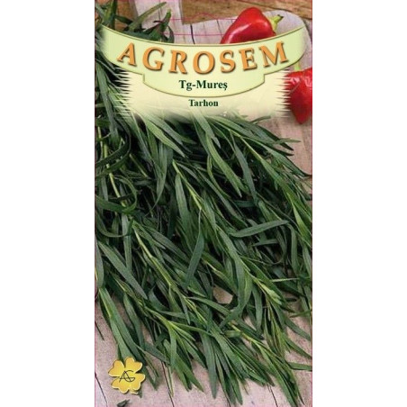 Tarhon seminte - Artemisia dracunculus