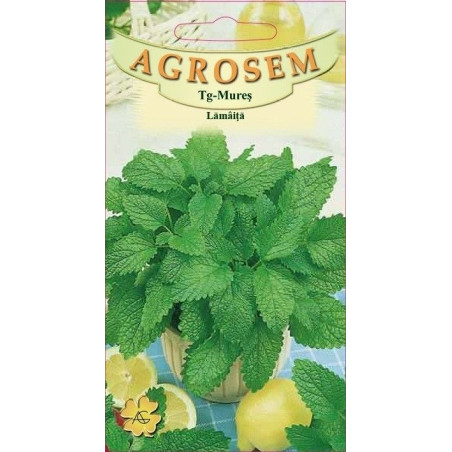 Lamaita seminte - Melissa officinalis