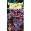 Loboda rosie seminte - Atriplex hortensis f. rubra