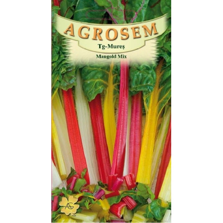 Mangold mix seminte - Beta vulgaris