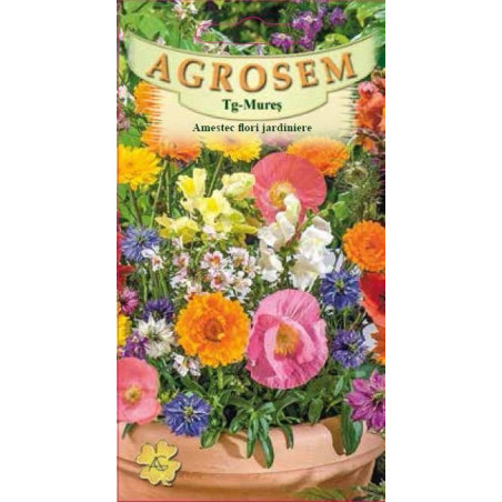 Amestec flori jardiniere seminte
