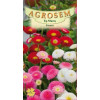 Banutei seminte - Bellis perennis mix