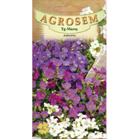 Aubrieta seminte - Aubrieta hybrida