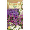 Aubrieta seminte - Aubrieta hybrida