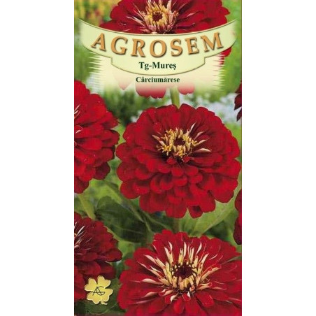 Carciumarese mari rosii seminte - Zinnia elegans