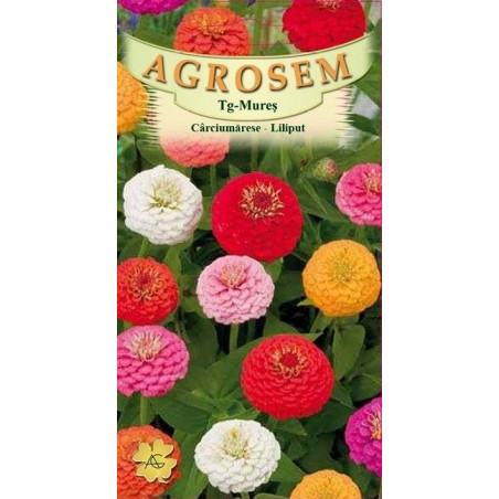Carciumarese pitice seminte - Zinnia elegans Liliput mix