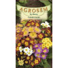 Ciubotica cucului seminte - Primula elatior mix