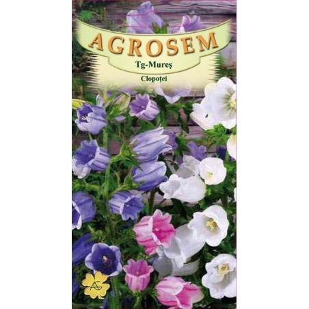 Clopotei seminte - Campanula medium mix