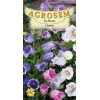 Clopotei seminte - Campanula medium mix