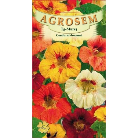 Condurul doamnei seminte - Tropaeolum majus