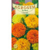 Craite inalte seminte - Tagetes erecta mix