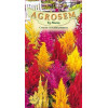 Creasta cocosului seminte - Celosia argentea var. plumosa mix