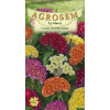 Creasta cocosului batuta seminte - Celosia argentea cristata nana mix