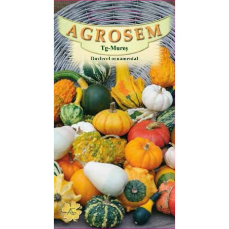 Dovlecel ornamental seminte - Cucurbita pepo mix