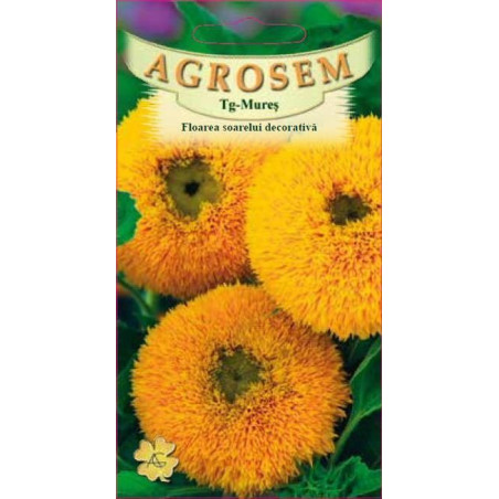 Floarea soarelui decorativa seminte - Helianthus annuus mix