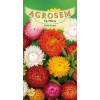 Flori de pai seminte - Helichrysum bracteatum mix
