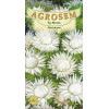 Flori de pai albe seminte - Helichrysum bracteatum