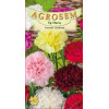 Garoafe Chabaud seminte - Dianthus caryophyllus Chabaud mix