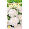 Garoafe Chabaud albe seminte - Dianthus caryophyllus Chabaud White