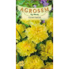 Garoafe Chabaud galbene seminte - Dianthus caryophyllus Chabaud Yellow