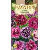 Garoafe chinezesti seminte - Dianthus chinensis mix