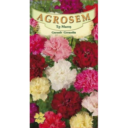Garoafe Grenadin seminte - Dianthus caryophyllus Grenadin mix