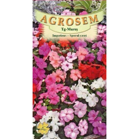 Impatiens seminte - Impatiens walleriana mix