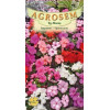 Impatiens seminte - Impatiens walleriana mix