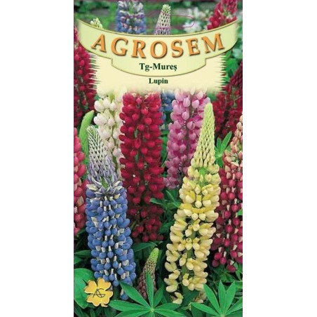 Lupin seminte - Lupinus polyphyllus mix