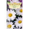 Margarete seminte - Chrysanthemum leucanthemum
