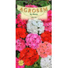 Muscate seminte - Pelargonium zonale mix