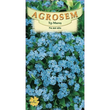 Nu ma uita seminte - Myosotis alpestris