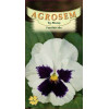 Panselute albe seminte - Viola witrockiana