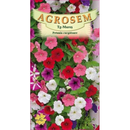 Petunia curgatoare seminte - Petunia hybrida pendula mix