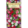 Petunia curgatoare seminte - Petunia hybrida pendula mix