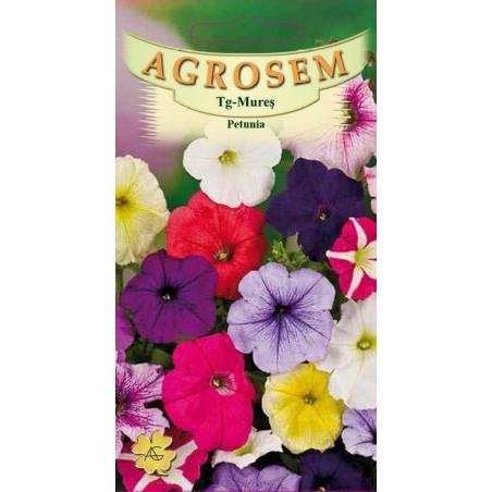 Petunia seminte - Petunia hybrida mix