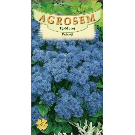 Pufuleti seminte - Ageratum mexicanum
