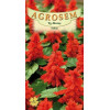 Salvia seminte - Salvia splendens