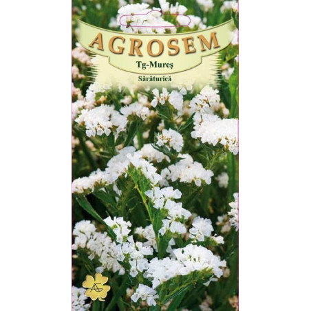 Saraturica alba seminte - Limonium sinuatum
