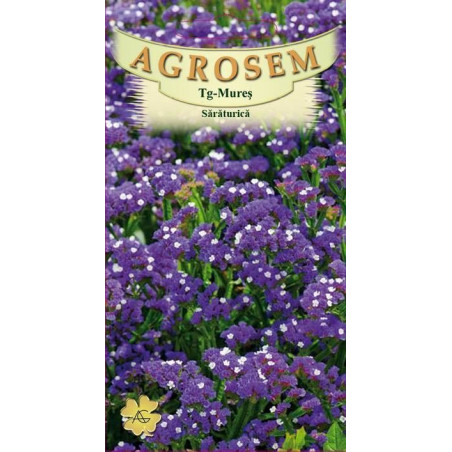 Saraturica albastra seminte - Limonium sinuatum