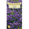 Saraturica albastra seminte - Limonium sinuatum