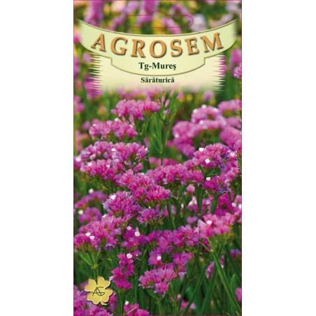 Saraturica roz seminte - Limonium sinuatum