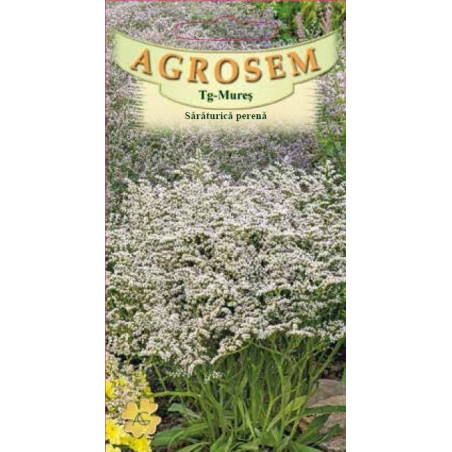 Saraturica alba perena seminte - Limonium tataricum