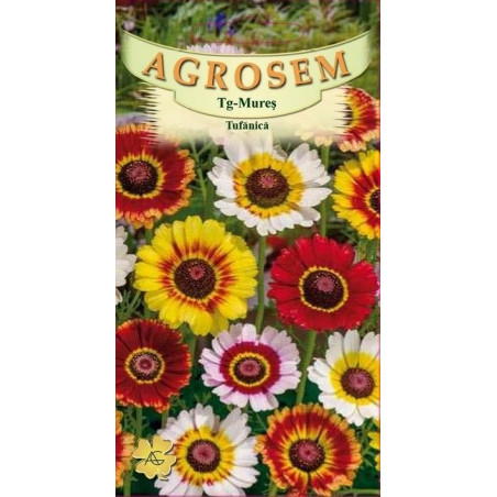 Tufanica seminte - Chrysanthemum carinatum Frohe mix
