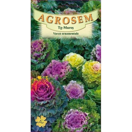 Varza ornamentala seminte - Brassica oleracea mix