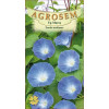 Zorele urcatoare albastre seminte - Ipomoea purpurea Blauer Himmel