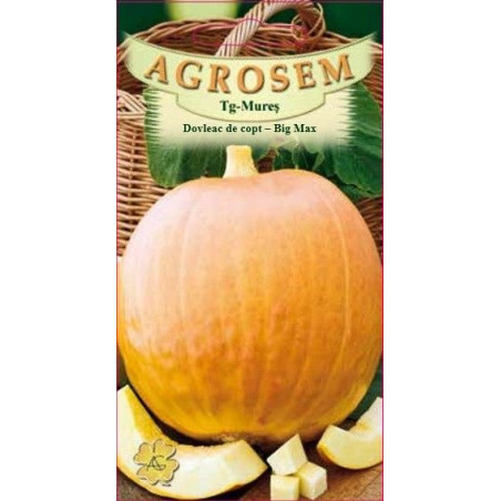 Dovleac de copt seminte - Cucurbita maxima Big Max