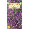 Alyssum violet seminte - Lobularia maritima Violet