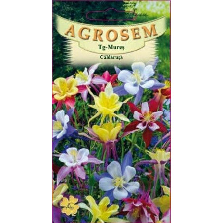 Caldaruse seminte - Aquilegia caerulea mix